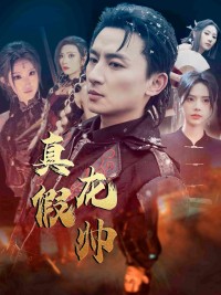 Chân Giả Long Soái